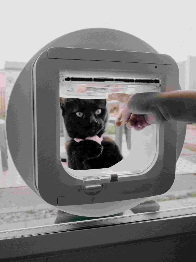 Custom Cat Door Solutions