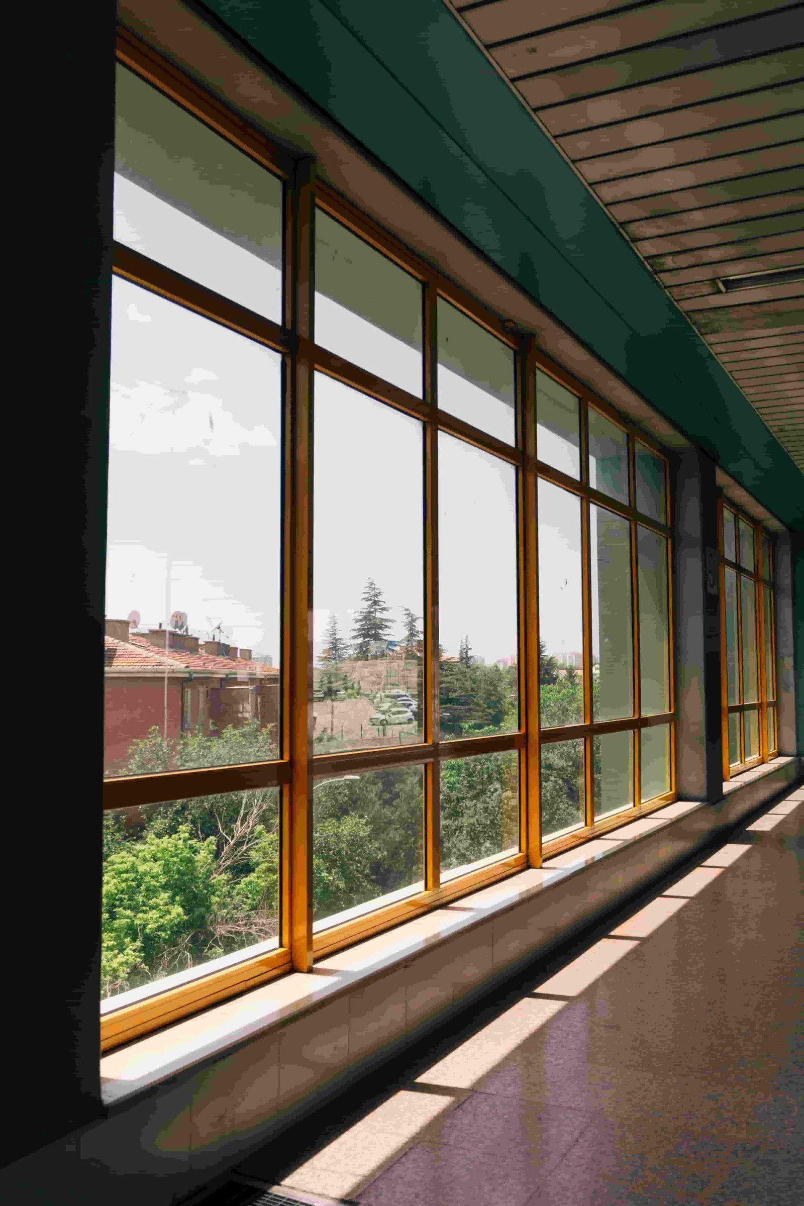 Tinted Window Glass