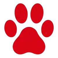 Pet Doors